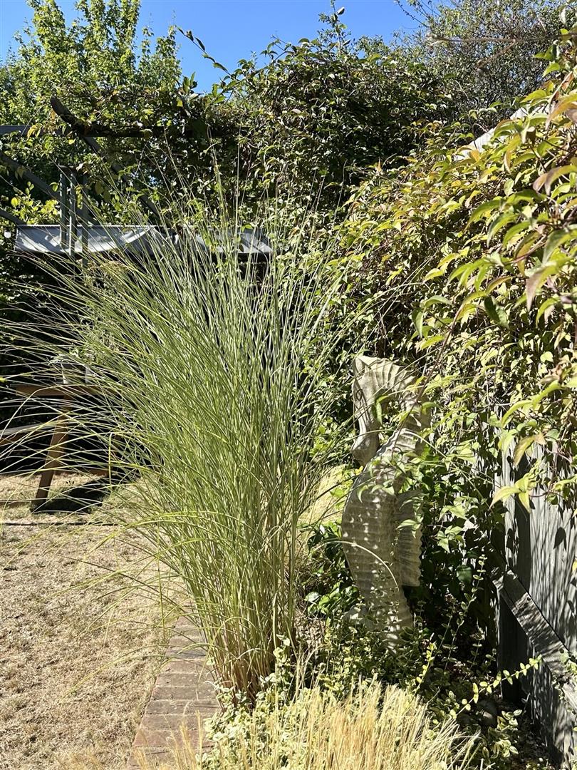 Rossetti Gardens, St. Leonards-On-Sea